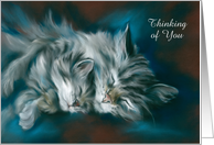 Thinking of You Sleeping Cat and Kitten Personalized Blank Inside card