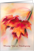 Missing You on Thanksgiving Autumn Red Maple Leaves Custom card