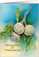 Missing You on Thanksgiving Live Oak Acorns Custom card