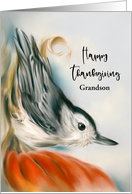 Thanksgiving for Grandson Nuthatch on Autumn Pumpkin Bird Custom card