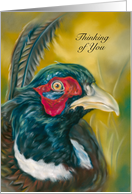 Thinking of You Pheasant on Gold Bird Art Blank Inside Custom card