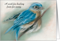 Feel Better Wishes from Afar Bluebird Pastel Bird Art Custom card