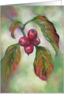 Any Occasion Autumn Dogwood Berries Botanical Art Blank card