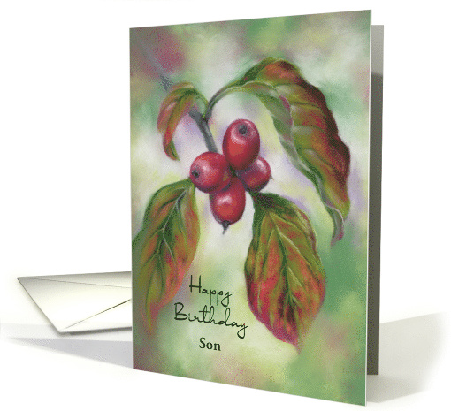 Birthday for Son Autumn Dogwood Berries Custom card (1872256)