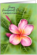 Grandpa and Grandma Grandparents Day Frangipani Plumeria Custom card