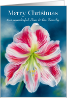 For Son and Family Christmas Red and White Amaryllis Custom card