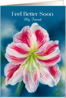 For Friend Feel Better Red and White Amaryllis Flower Custom card