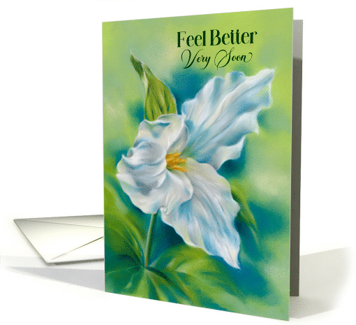 Feel Better Soon White Trillium Wildflower Flower Art card (1876614)