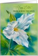 Easter From Across the Miles White Trillium Wildflower Custom card