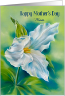 For Mom Mothers Day White Trillium Wildflower Art Custom card
