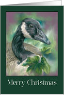 Merry Christmas Canada Goose with English Ivy card