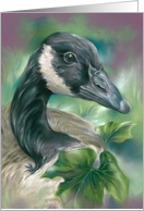 Any Occasion Canada Goose with English Ivy Blank card