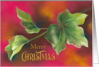 Merry Christmas Green Ivy Leaves on Red card