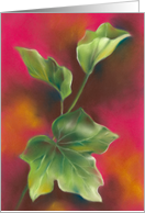 Any Occasion Green English Ivy Leaves on Red Blank card