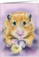 Any Occasion Hamster Holding a Pansy Flower Pastel Art Blank card