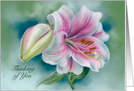 Thinking of You Pink and White Lily Flower Art Custom card
