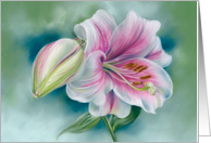 Any Occasion Pink and White Lily Flower Art Blank card
