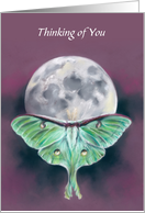 Thinking of You Luna Moth and Moon Custom card