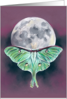 Any Occasion Luna Moth and Moon Pastel Art Blank card
