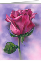 Any Occasion Deep Pink Rose on Purple Pastel Flower Art Blank card