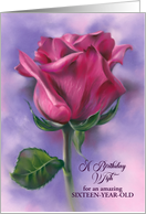 Custom Age 16 Birthday Wish Deep Pink Rose on Purple card