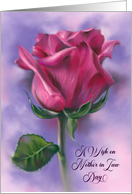 A Wish on Mother in Law Day Deep Pink Rose card