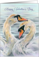 Happy Valentines Day White Swans on Water card
