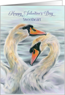 For Sweetheart Valentines Day White Swans on Water Custom card