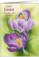 For Grandparents Easter Purple Crocus Flowers Custom card