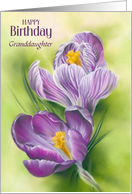 For Granddaughter Birthday Purple Crocus Flowers Custom card