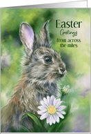 From Across the Miles Easter Brown Bunny with Daisies Custom card