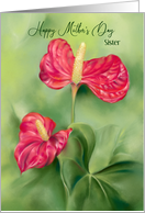 For Sister on Mothers Day Red Anthurium Flowers Custom card