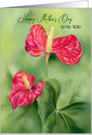 For Wife on Mothers Day Red Anthurium Flowers Custom card