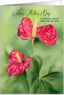 Like a Mom to Me on Mothers Day Red Anthurium Flowers Custom card