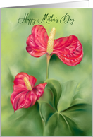 Mothers Day Red Anthurium Flowers Pastel Art card