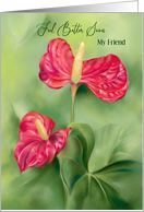 Feel Better Soon My Friend Red Anthurium Flowers Custom card