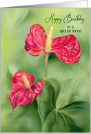 For Friend Birthday Red Anthurium Flowers Custom card