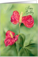 Happy Birthday Red Anthurium Flowers Pastel Art card