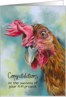 Congratulations on 4H Project Red Chicken Art Custom card