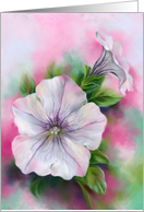 Any Occasion Colorful Petunia Flowers Pastel Art Blank card