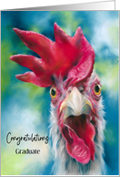 Custom Graduation Congratulations Whimsical White Chicken card