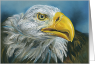 Any Occasion Bald Eagle Pastel Bird Artwork Blank card