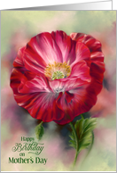 Birthday on Mothers Day Red Poppy Flower card