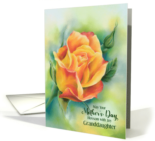 For Granddaughter Mothers Day Colorful Rose Custom card (1919122)