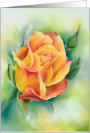 Any Occasion Colorful Rose Pastel Art Blank card