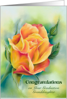 Custom Granddaughter Graduation Congratulations Colorful Rose card