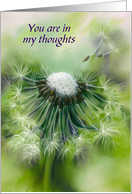Thinking of You Dandelion Wishes Personalized card