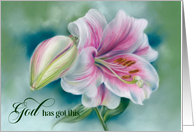 Christian Encouragement Pink and White Lily Flower card