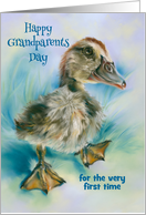 First Grandparents Day Duckling Taking a Stroll Custom card
