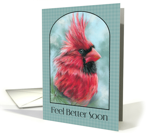 Feel Better Soon Red Cardinal with Pine Bird Art card (1937016)